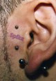 /album/piercing/img125-jpg/